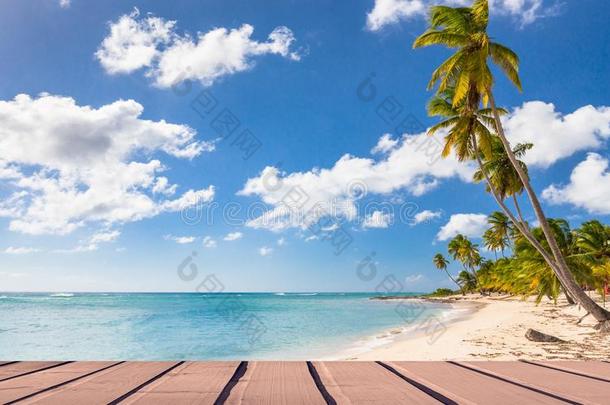 多米尼加共和国加勒比海滩