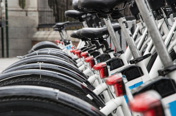 自行车骑自行车城市生态生态学