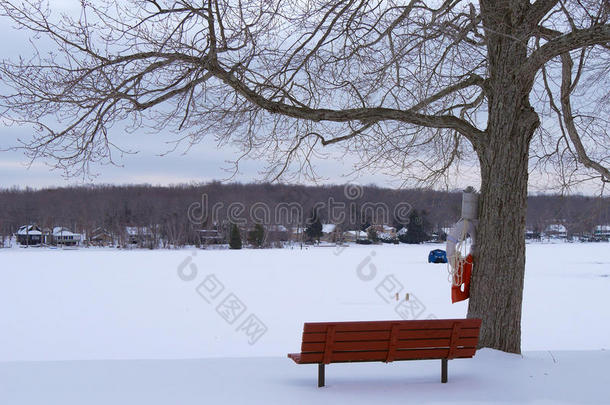 光秃秃的长凳盖满冰冻的湖