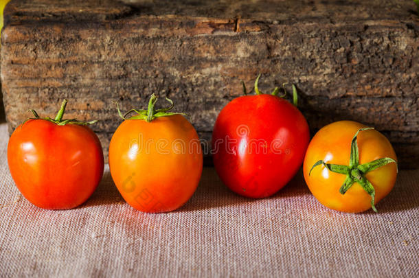 番茄静物艺术摄影