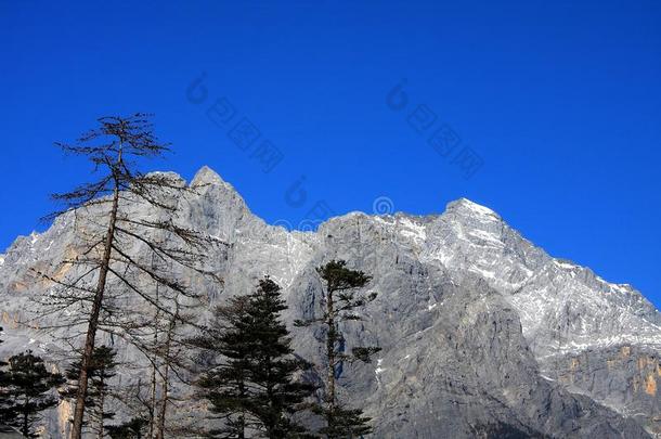 古董建筑学亚洲瓷器中国人