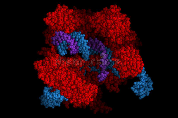 CRISPR/Cas9蛋白