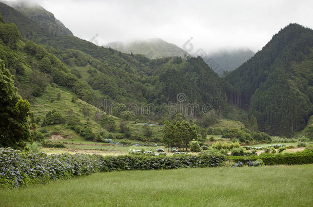 美丽的<strong>过度</strong>生长的古老火山山脉在索米歇尔，亚速尔群岛