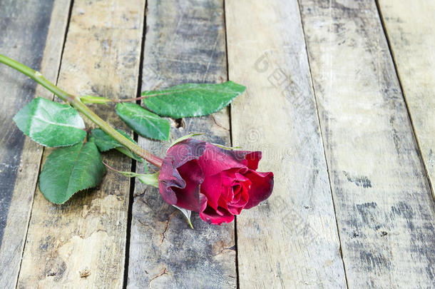 木制背景上的新鲜红玫瑰。 情人节