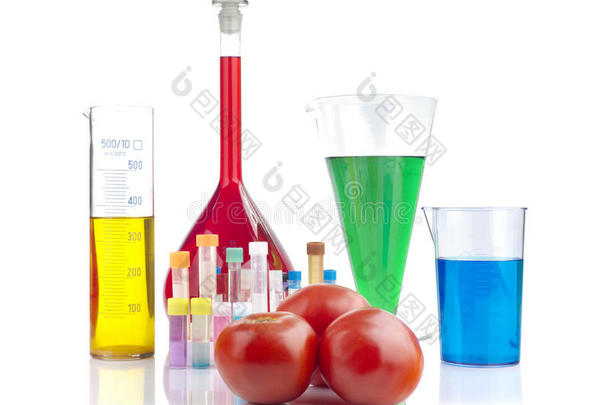转基因生物-成熟西红柿和实验室玻璃器皿