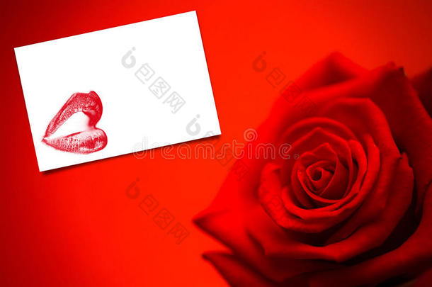 盛开的红玫瑰的复合图像