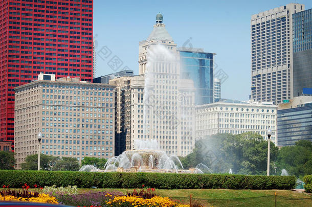夏天芝加哥市中心的<strong>白金</strong>汉喷泉。