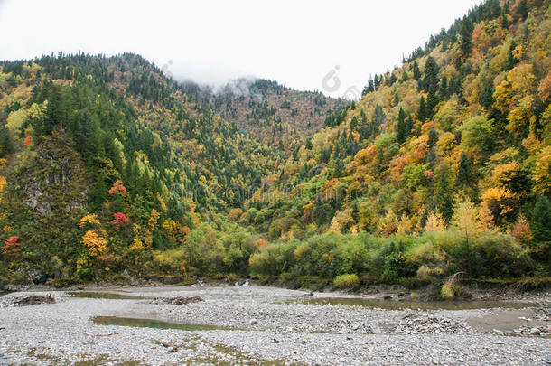 中国四川黑水秋景