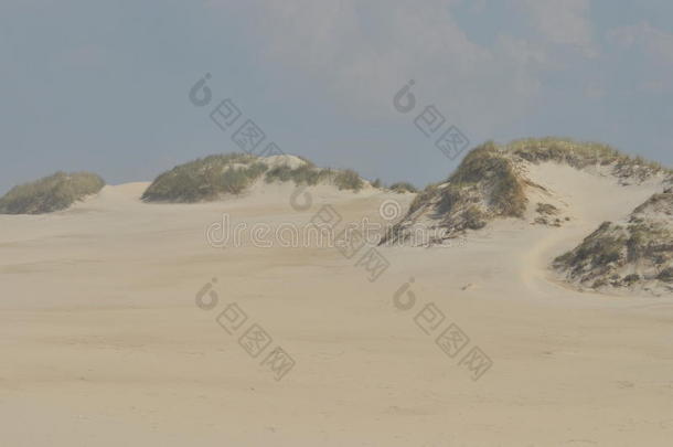 沙丘。 <strong>沙漠里的</strong>沙子。 波兰莱辛斯基国家公园