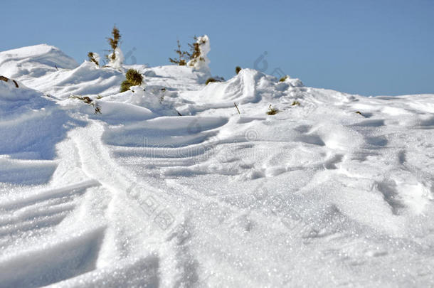 阿尔卑斯山暴风雪蓝色喀尔巴阡山圣诞节