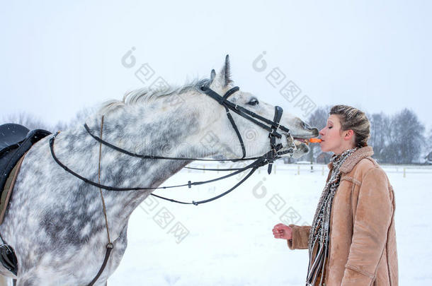 冬天<strong>骑着马</strong>的女孩在雪地上