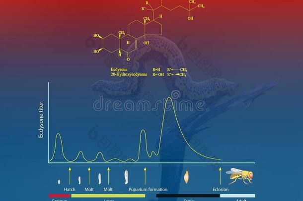 农业动物生物学化学<strong>羽化</strong>