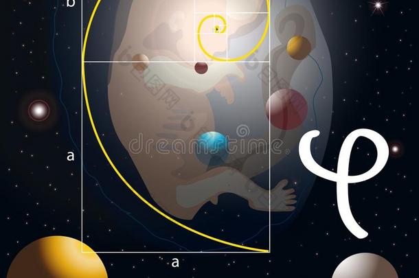 定义胚胎方程式金色的偶像