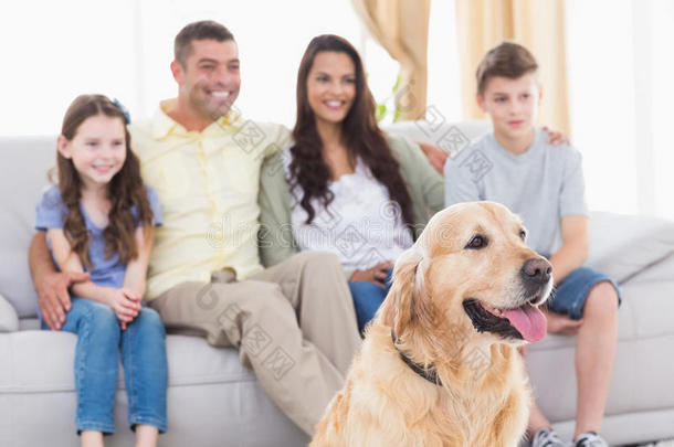 家人和狗一起看电视