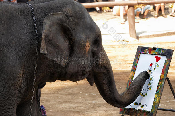 大象在泰国画一幅画
