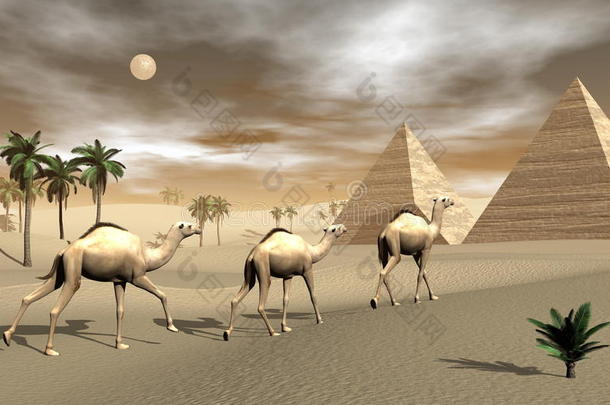 骆驼和<strong>金字</strong>塔-3D渲染