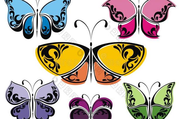 收集不同的蝴蝶