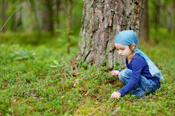 可爱的女孩在森林里摘狐狸莓