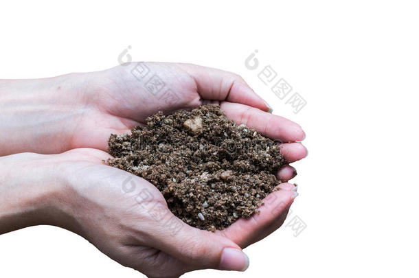 手拿着土壤，手拿着土壤