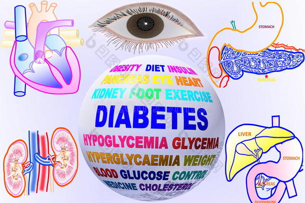 糖尿病相关关键词全球与人体部分