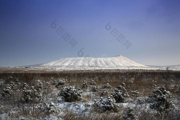 香槟瓷器集群金山山