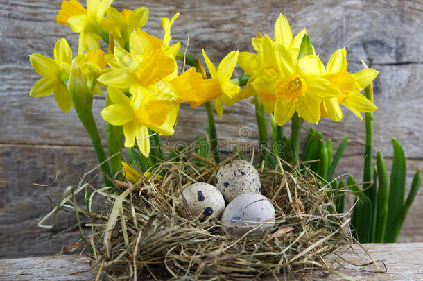 复活节装饰品。 在木头上筑巢的鸡蛋