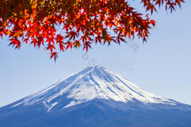 <strong>富士山</strong>