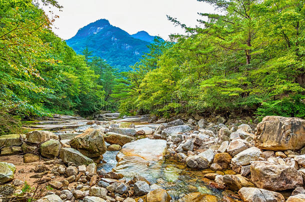 森林绿色<strong>韩国风</strong>景山