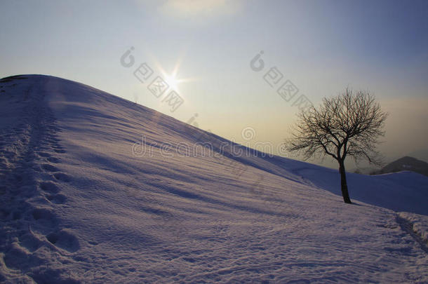 冬季<strong>树木雪景</strong>