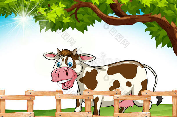 一头母牛在微笑