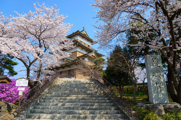 樱花和城堡