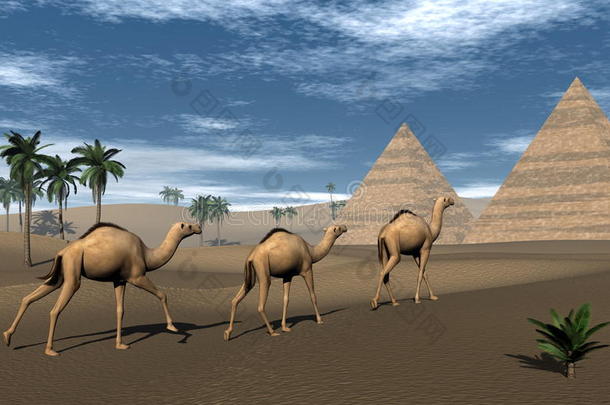 骆驼和<strong>金字</strong>塔-3D渲染