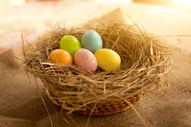 在阳光明媚的日子里，五颜六色的复活节彩蛋躺在鸟巢里的特写镜头
