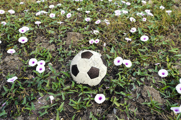 草地和花上的足球