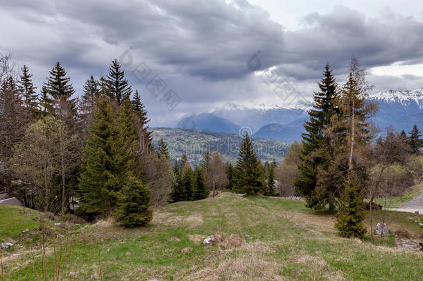 阿尔卑斯山行政区云多云的森林