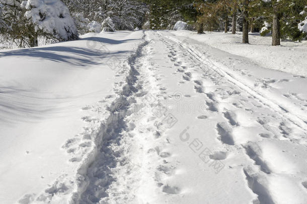 <strong>雪地</strong>上的轮<strong>胎</strong>痕迹