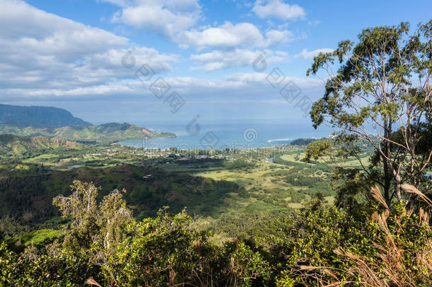 海湾海岸探索森林林业