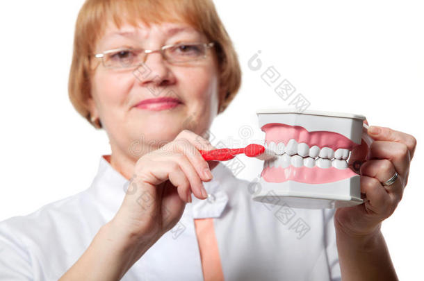 带义齿的牙医进行示范