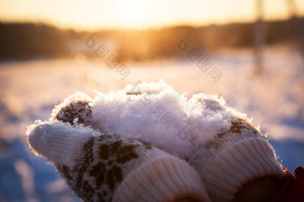 毛茸茸的白雪在手上