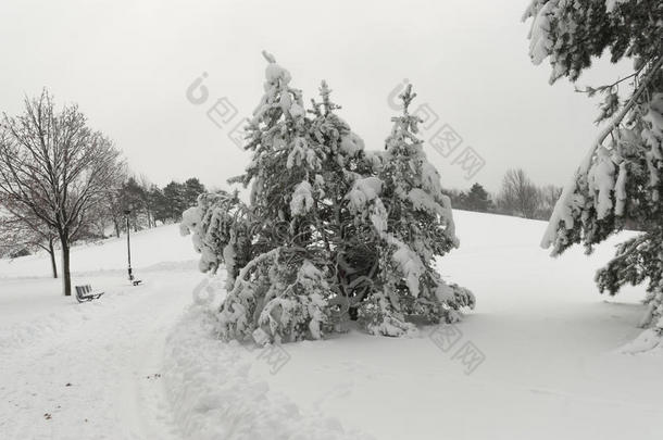 在<strong>阴天</strong>的公园里，暴风雪过后