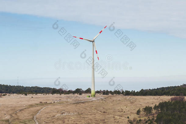 生态风车，风车，海葵