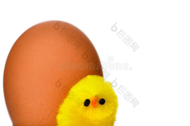 复活节小鸡有一个相当大的鸡蛋在背景。