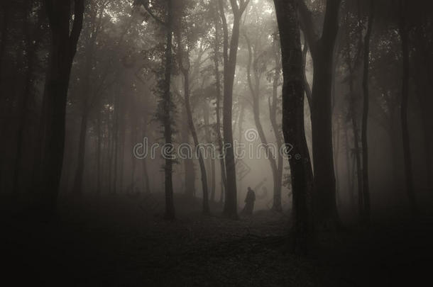 万圣节，<strong>黑暗</strong>神秘森林中的<strong>幽灵</strong>剪影与雾