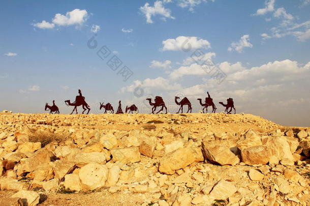 骆驼商队在恩盖夫沙漠，恩阿夫达国家公园