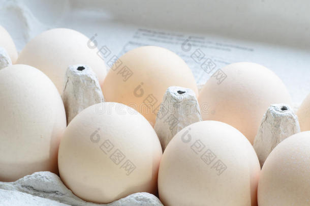 纸制鸡蛋盒<strong>中</strong>的鸡蛋
