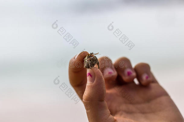 手牵着一只小螃蟹在海滩前。