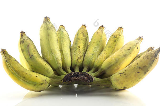 一束栽培的香蕉-热带水果在白色