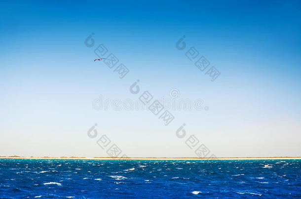 背景海湾海滩美丽的蓝色