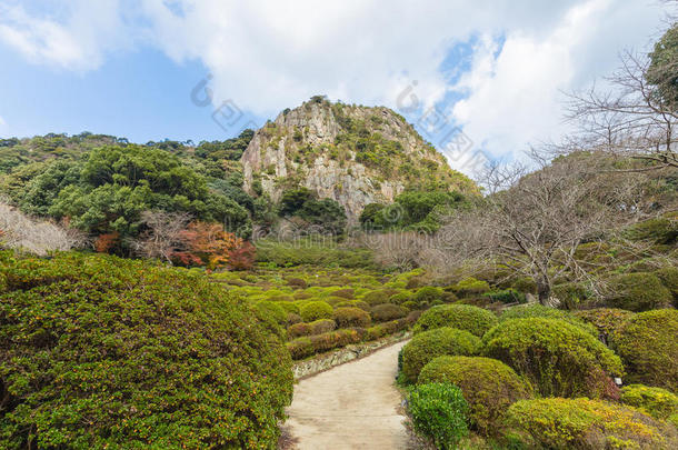 吸引力秋天落下花园日本