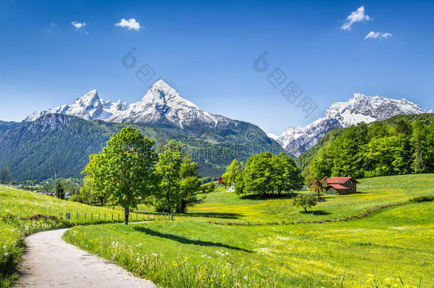 阿尔卑斯山田园诗般的<strong>夏日风景</strong>